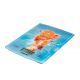 BALANZA COCINA DIGITAL JULE